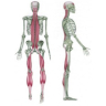 Nessun messaggio da leggere